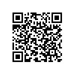 RNC55H3741DSRSL QRCode