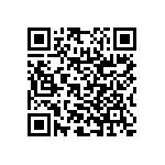 RNC55H3832BSRSL QRCode