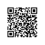 RNC55H3833FRR36 QRCode