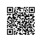 RNC55H4022DSBSL QRCode