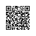 RNC55H5113BSRSL QRCode