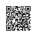 RNC55J1002BSRE6 QRCode