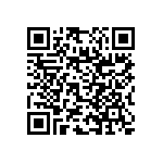 RNC55J1311BSB14 QRCode