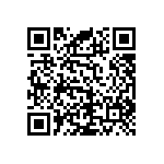 RNC55J1602DSBSL QRCode