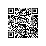 RNC55J17R4DSBSL QRCode