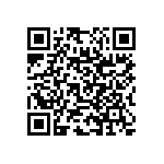 RNC55J2293BSB14 QRCode