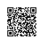 RNC55J2491BSBSL QRCode