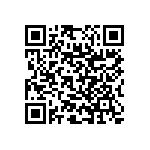 RNC55J2803BSRSL QRCode