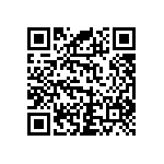 RNC55J2910BSRSL QRCode