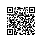 RNC55J2910DSB14 QRCode