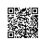 RNC55J2911BPBSL QRCode