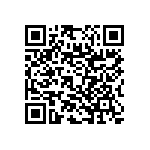 RNC55J33R2FSBSL QRCode