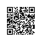 RNC55J3743BSBSL QRCode