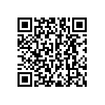 RNC55J3743FSBSL QRCode