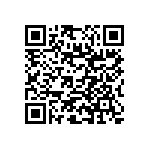 RNC55J4533BSRE6 QRCode