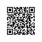 RNC55J49R9BSBSL QRCode