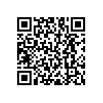 RNC55J6041BSBSL QRCode