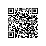 RNC55J6042FSBSL QRCode