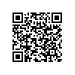 RNC60H3011FSB14 QRCode