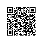 RNC60J4641BSB14 QRCode