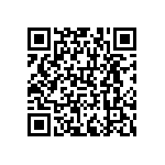 RNCF0201DTC453R QRCode