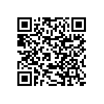 RNCF0402DKE383R QRCode