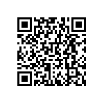 RNCF0603BTE4K30 QRCode