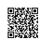 RNCF0603DKE102R QRCode