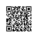 RNCF1206BKE402K QRCode