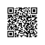 RNCF1206BTC4K30 QRCode