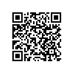 RNCF1206BTC63K4 QRCode