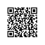 RNCF1206BTC63R4 QRCode