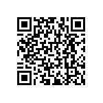 RNCF1206BTE102K QRCode