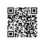 RNCF1206BTE13K3 QRCode