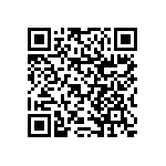 RNCF1206BTE13K7 QRCode