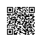 RNCF1206BTE453K QRCode