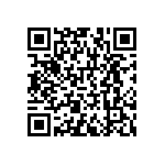 RNCF1206BTE46K4 QRCode