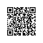 RNCF1206DTC300R QRCode