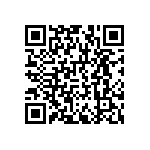 RNCF1206DTE453R QRCode