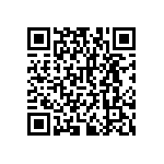 RNCF2512BKE301R QRCode