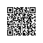 RNCF2512BTC3K30 QRCode