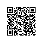 RNCF2512BTE3K09 QRCode