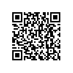 RNCF2512BTE64R9 QRCode