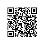 RNCF2512DTC13R0 QRCode