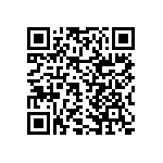 RNCF2512DTE1M91 QRCode