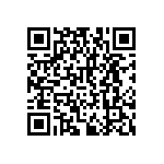 RNCF2512DTE383K QRCode