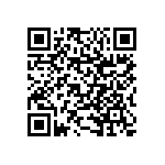 RNCS1206BKE48K7 QRCode