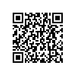 RNR55H1742BSB14 QRCode