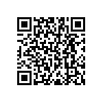 RNR55H4023FSRSL QRCode