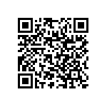 RNR55J1002DPRSL QRCode